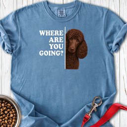 Standard Poodle Where Are You Going Chocolate Premium Tee Gift For Dog Lover