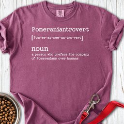 Pomeranian Pomeraniantrovert Premium Tee Gift For Dog Lover