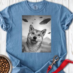 Shiba Inu Ufo Premium Tee Gift For Dog Lover