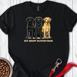 Sit Show Supervisor Labrador T Shirt Gift For Dog Lover