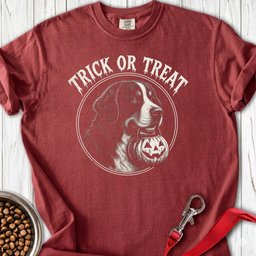 Trick Or Treat Bernese Mountain Dog Halloween Premium Tee Gift For Dog Lover