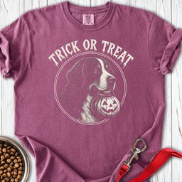 Trick Or Treat Bernese Mountain Dog Halloween Premium Tee Gift For Dog Lover