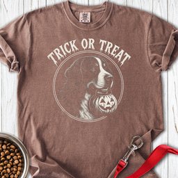 Trick Or Treat Bernese Mountain Dog Halloween Premium Tee Gift For Dog Lover