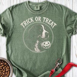 Trick Or Treat Bernese Mountain Dog Halloween Premium Tee Gift For Dog Lover