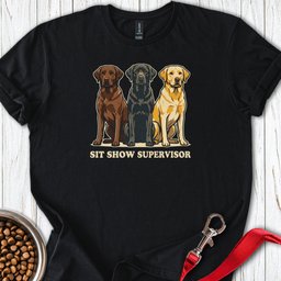 Sit Show Supervisor Labrador T Shirt Gift For Dog Lover