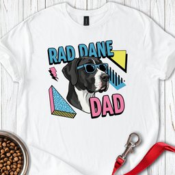 Rad Dane Dad 90s T Shirt Gift For Dad