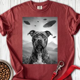 Pitbull Ufo Premium Tee Gift For Dog Lover