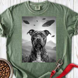 Pitbull Ufo Premium Tee Gift For Dog Lover