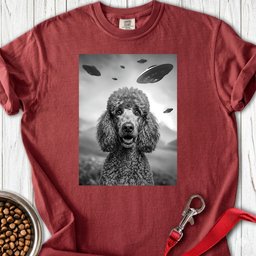 Standard Poodle Ufo Premium Tee Gift For Dog Lover