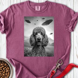 Standard Poodle Ufo Premium Tee Gift For Dog Lover