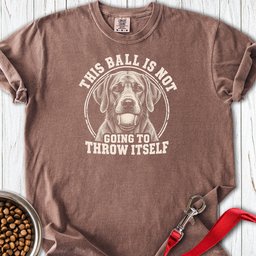 Yellow Labrador Ball Premium Tee Gift For Dog Lover