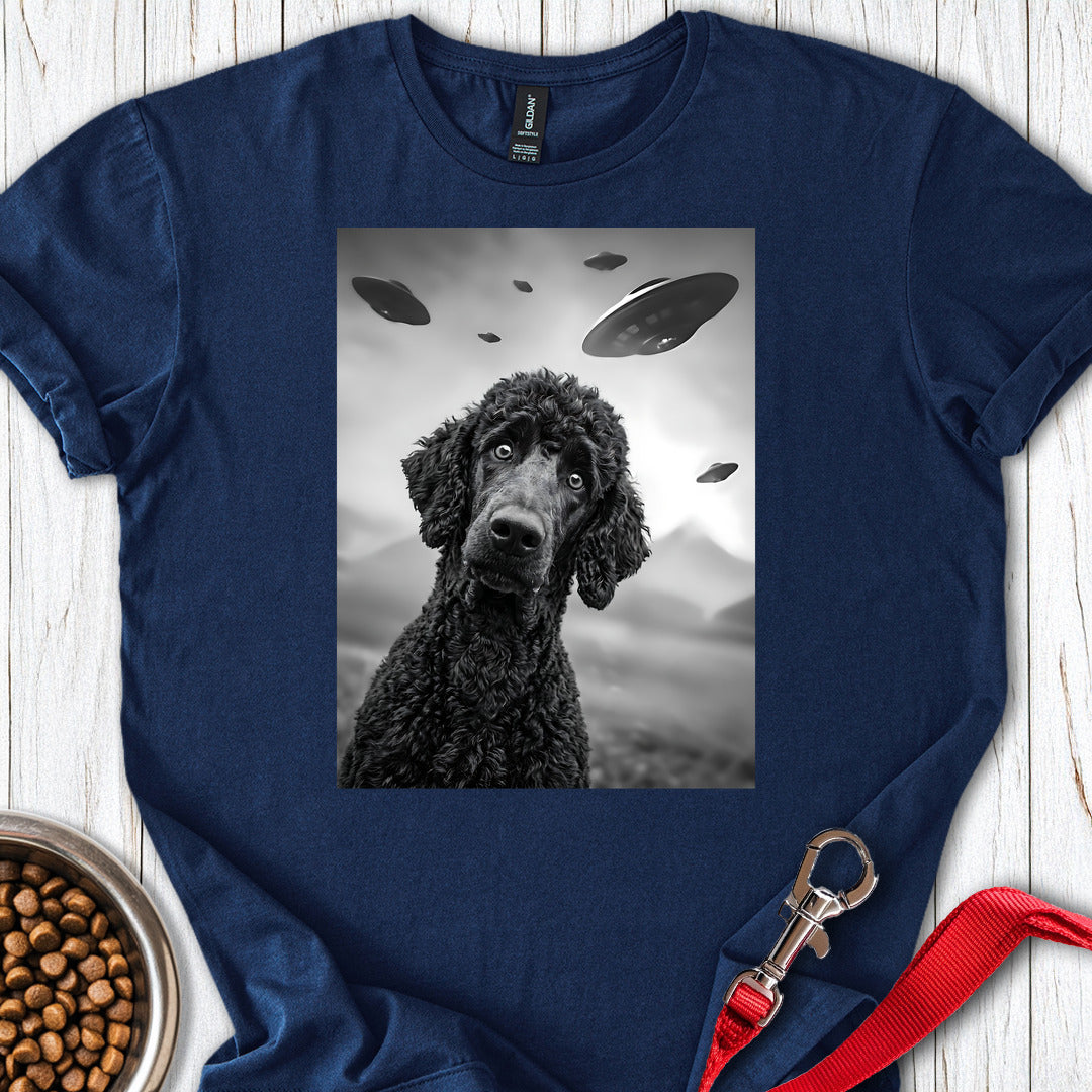Standard Poodle Ufo 2 T Shirt Gift For Dog Lover