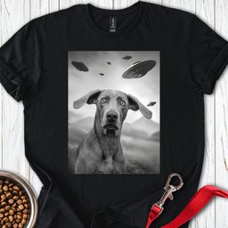 Weimaraner Ufo T Shirt Gift For Dog Lover