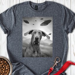 Weimaraner Ufo T Shirt Gift For Dog Lover