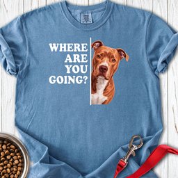Pitbull Red Nose Where Are You Going Premium Tee Gift For Dog Lover