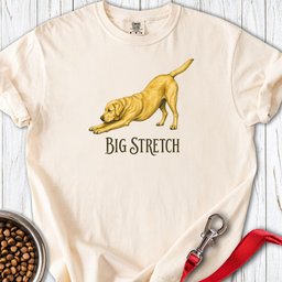 Yellow Labrador Big Stretch Premium Tee Gift For Dog Lover