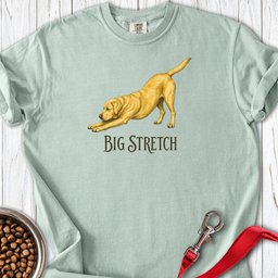 Yellow Labrador Big Stretch Premium Tee Gift For Dog Lover
