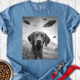 Vizsla Ufo Premium Tee Gift For Dog Lover
