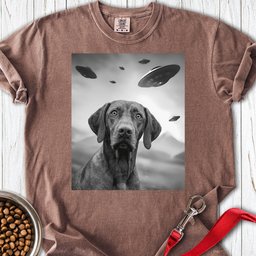 Vizsla Ufo Premium Tee Gift For Dog Lover