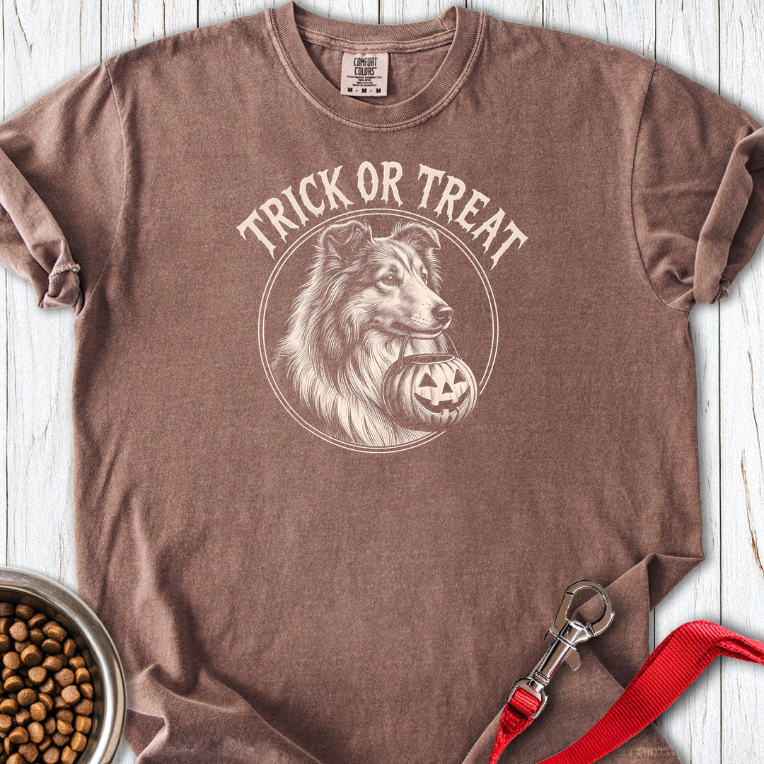 Shetland Sheepdog Trick Or Treat Premium Tee Gift For Dog Lover