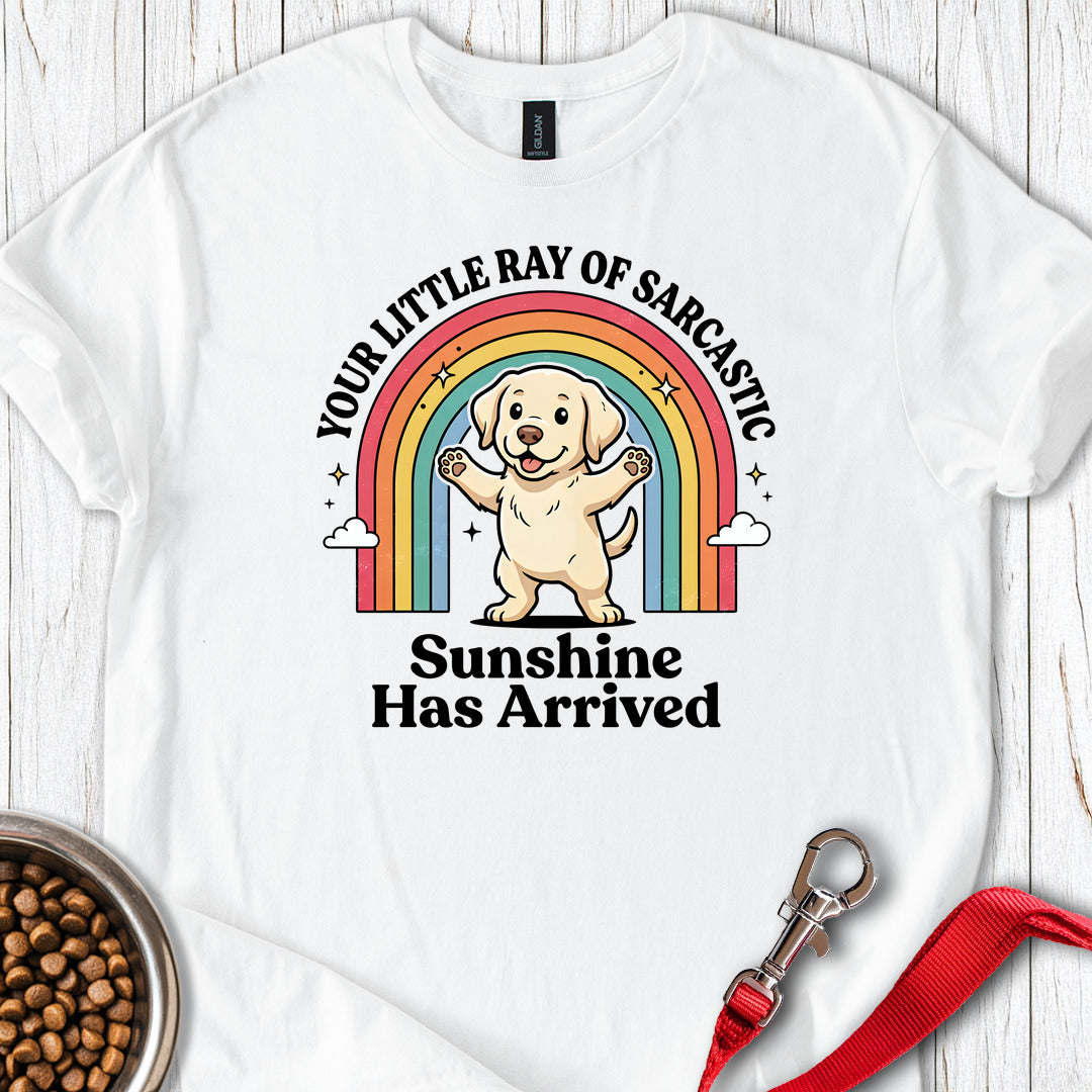 Sarcastic Sunshine Puppy T Shirt Gift For Dog Lover