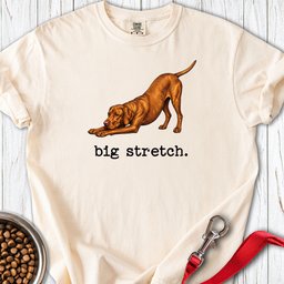 Vizsla Big Stretch Premium Tee Gift For Dog Lover