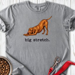 Vizsla Big Stretch Premium Tee Gift For Dog Lover