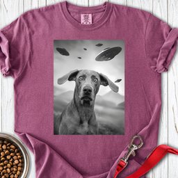 Weimaraner Ufo Premium Tee Gift For Dog Lover