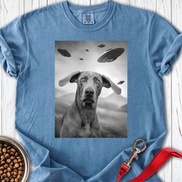 Weimaraner Ufo Premium Tee Gift For Dog Lover