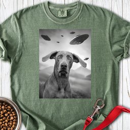 Weimaraner Ufo Premium Tee Gift For Dog Lover
