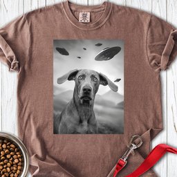 Weimaraner Ufo Premium Tee Gift For Dog Lover