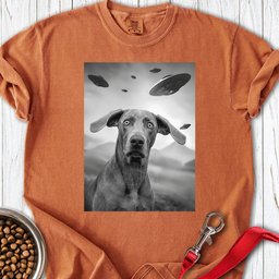 Weimaraner Ufo Premium Tee Gift For Dog Lover