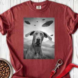 Weimaraner Ufo Premium Tee Gift For Dog Lover