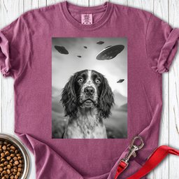 Springer Spaniel Ufo Premium Tee Gift For Dog Lover