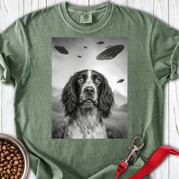 Springer Spaniel Ufo Premium Tee Gift For Dog Lover