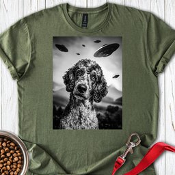 Poodle Ufo T Shirt Gift For Dog Lover