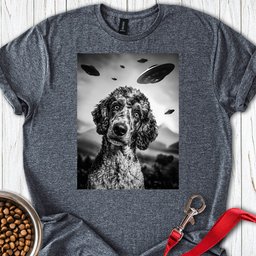 Poodle Ufo T Shirt Gift For Dog Lover