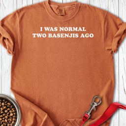 Two Basenjis Premium Tee Gift For Dog Lover