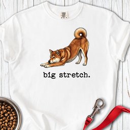 Shiba Inu Big Stretch Premium Tee Gift For Dog Lover