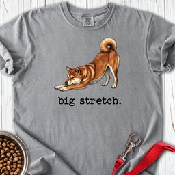 Shiba Inu Big Stretch Premium Tee Gift For Dog Lover