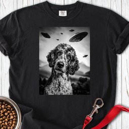Standard Poodle Ufo Premium Tee Gift For Dog Lover