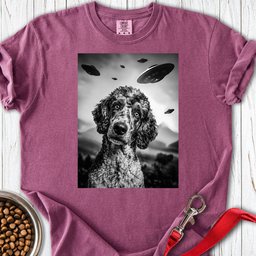 Standard Poodle Ufo Premium Tee Gift For Dog Lover