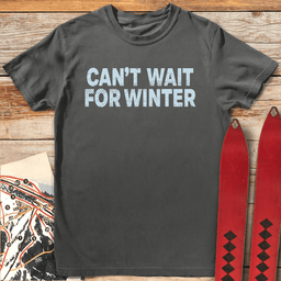 Winter Is Coming T Shirt Gift For Skier