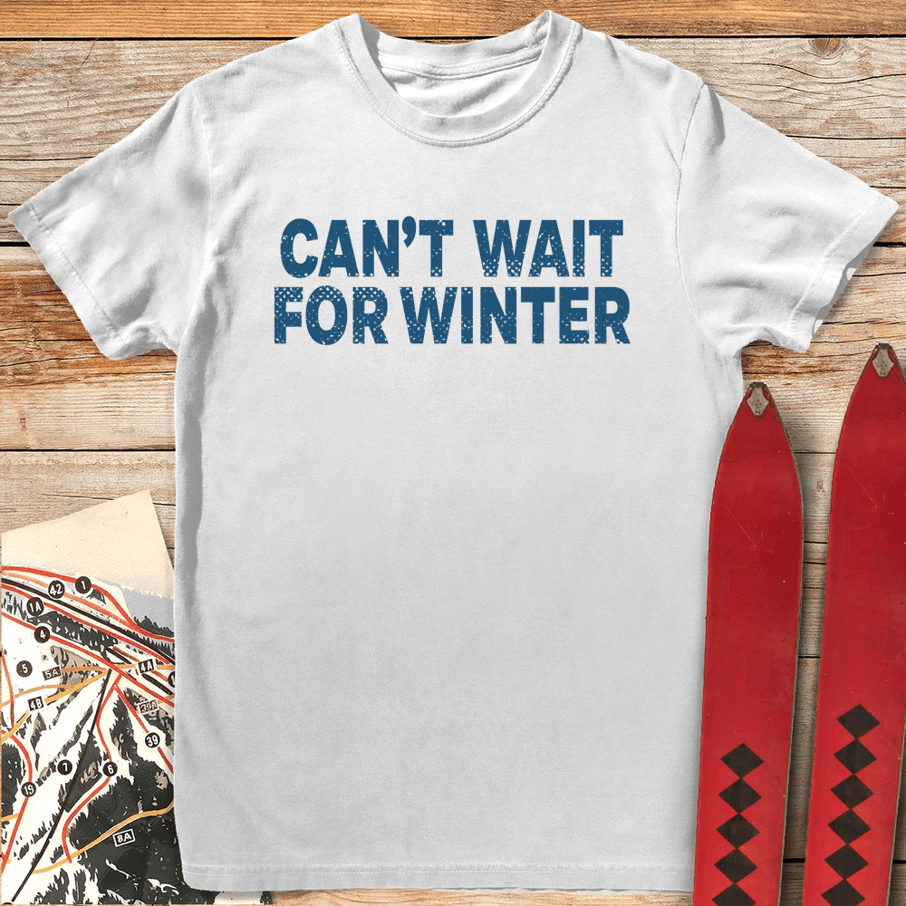 Winter Is Coming T Shirt Gift For Skier