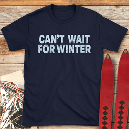 Winter Is Coming T Shirt Gift For Skier