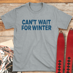 Winter Is Coming T Shirt Gift For Skier