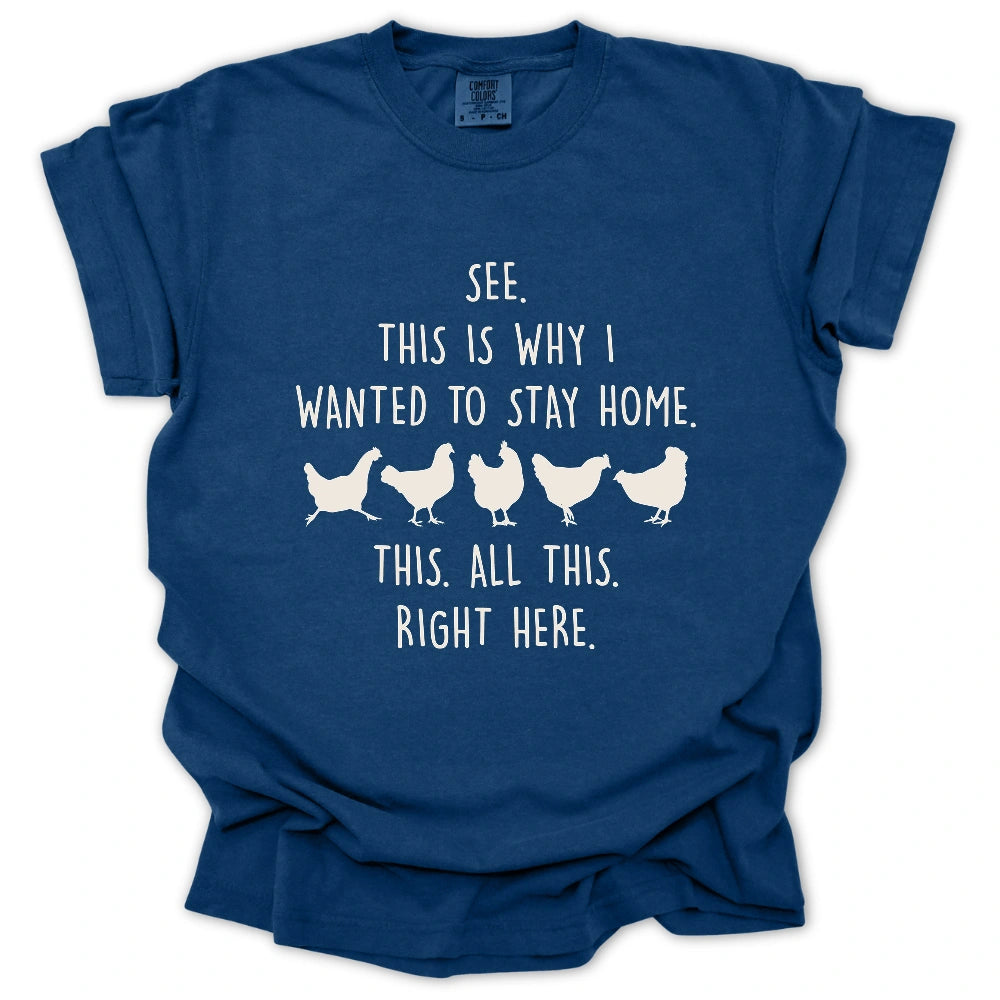 All This Right Here T Shirt Gift For Gardener