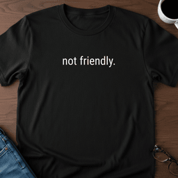 Not Friendly T Shirt Gift For Adults