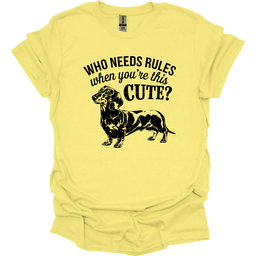 Sassy Dachshund 18 T Shirt Gift For Dog Lover