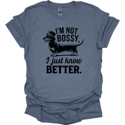 Sassy Dachshund 66 T Shirt Gift For Dog Lover